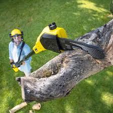 Best Pest Control for Lawns  in Stroville, CA