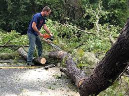 Best Mulching Services  in Stroville, CA