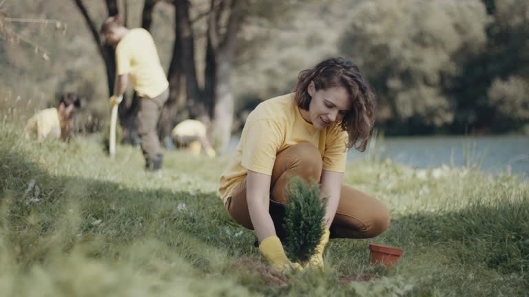 Best Lawn Mowing  in Stroville, CA