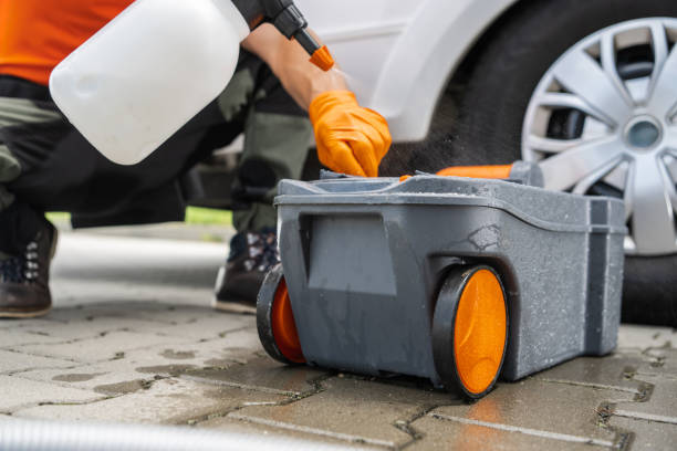 Best Stump Grinding and Removal  in Stroville, CA